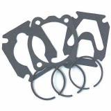 Rings d51 and gasket set